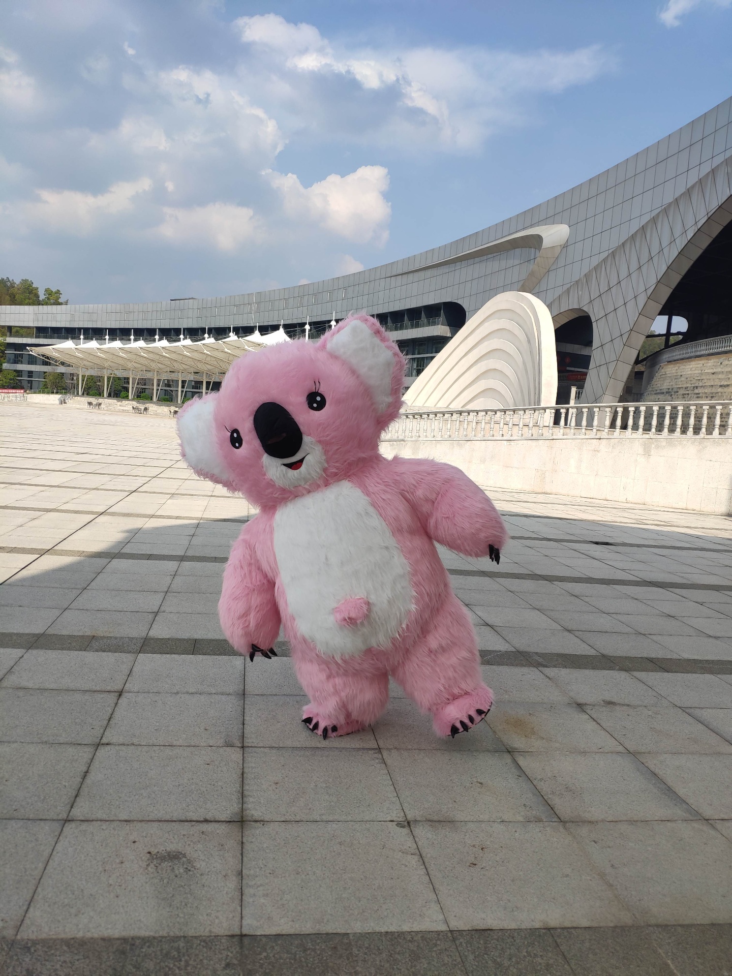 Pink Koala