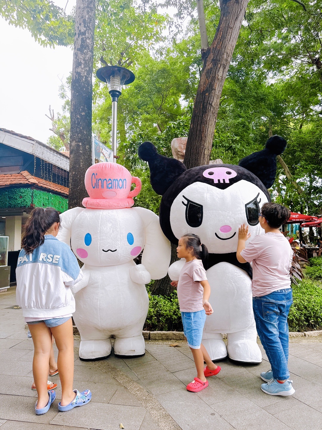Cinnamoroll & Kuromi