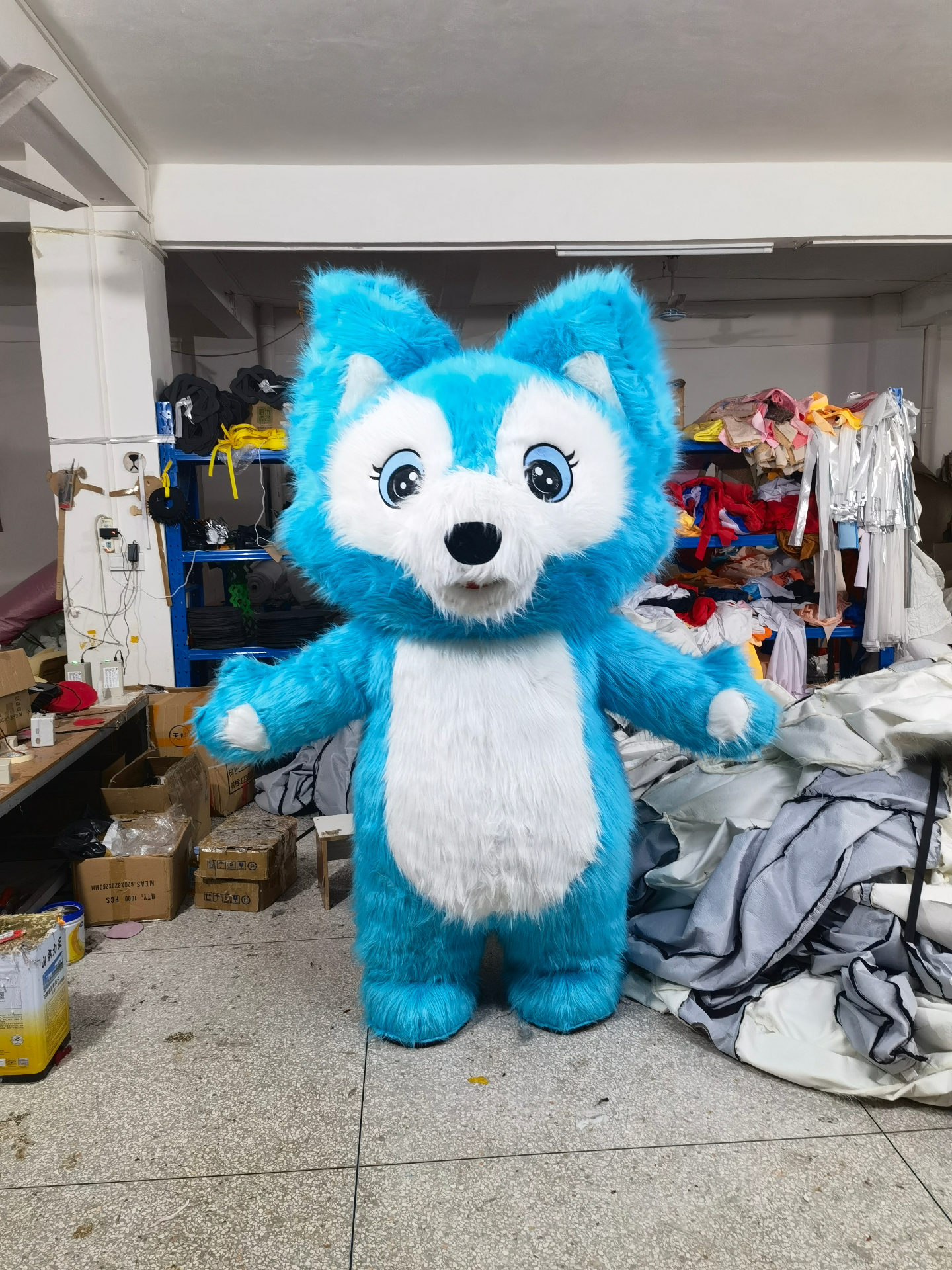 Blue Husky