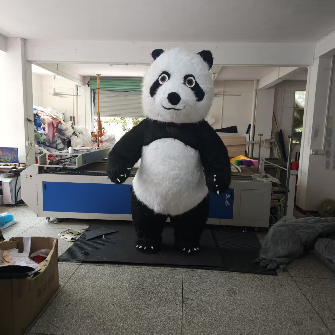 Giant Panda