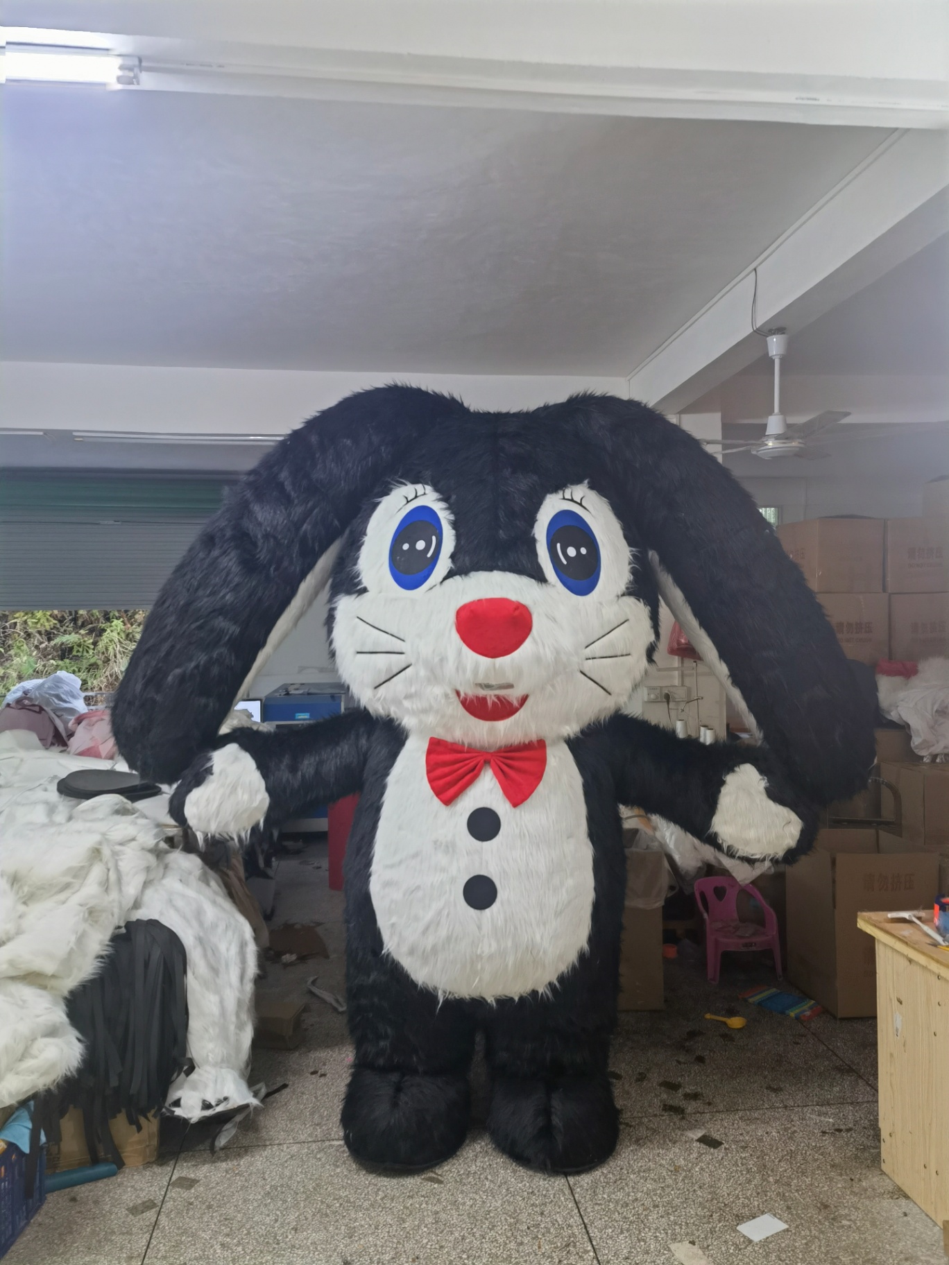 Black Lop Bunny
