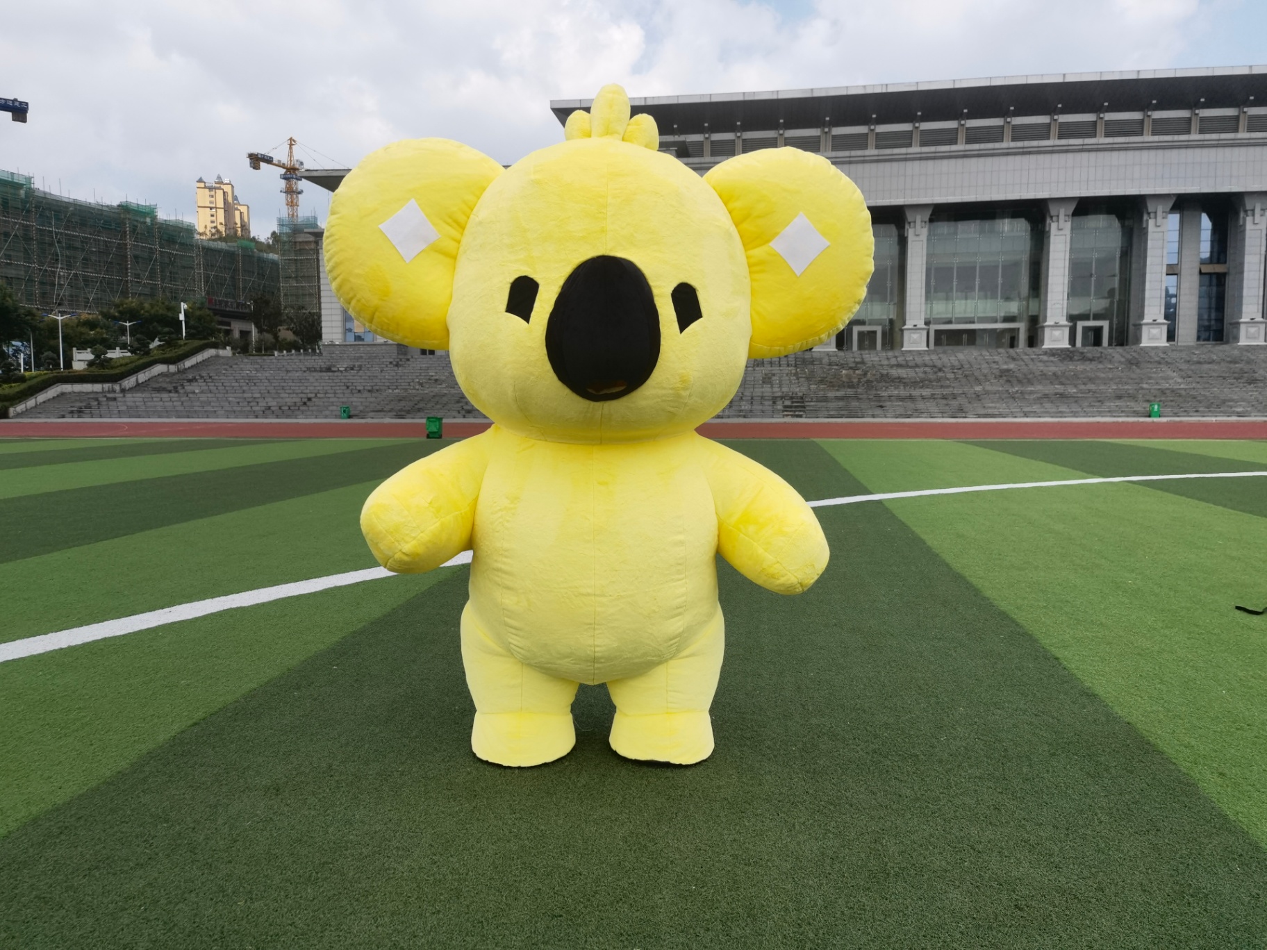 Yellow Koala