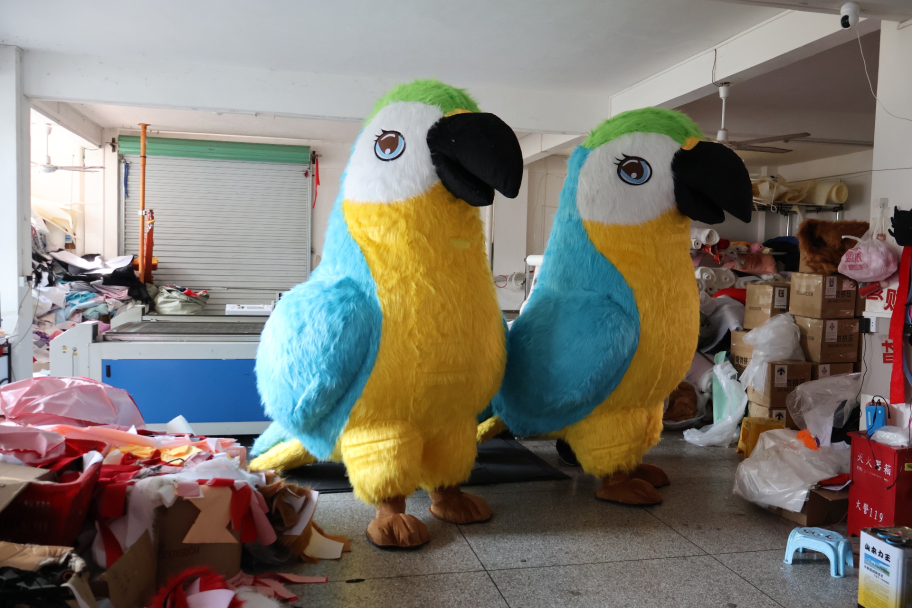 Macaw Parrot