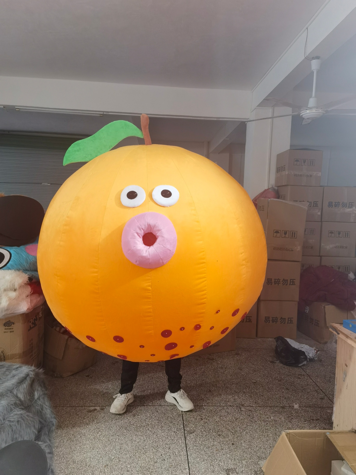 Peach Fruit