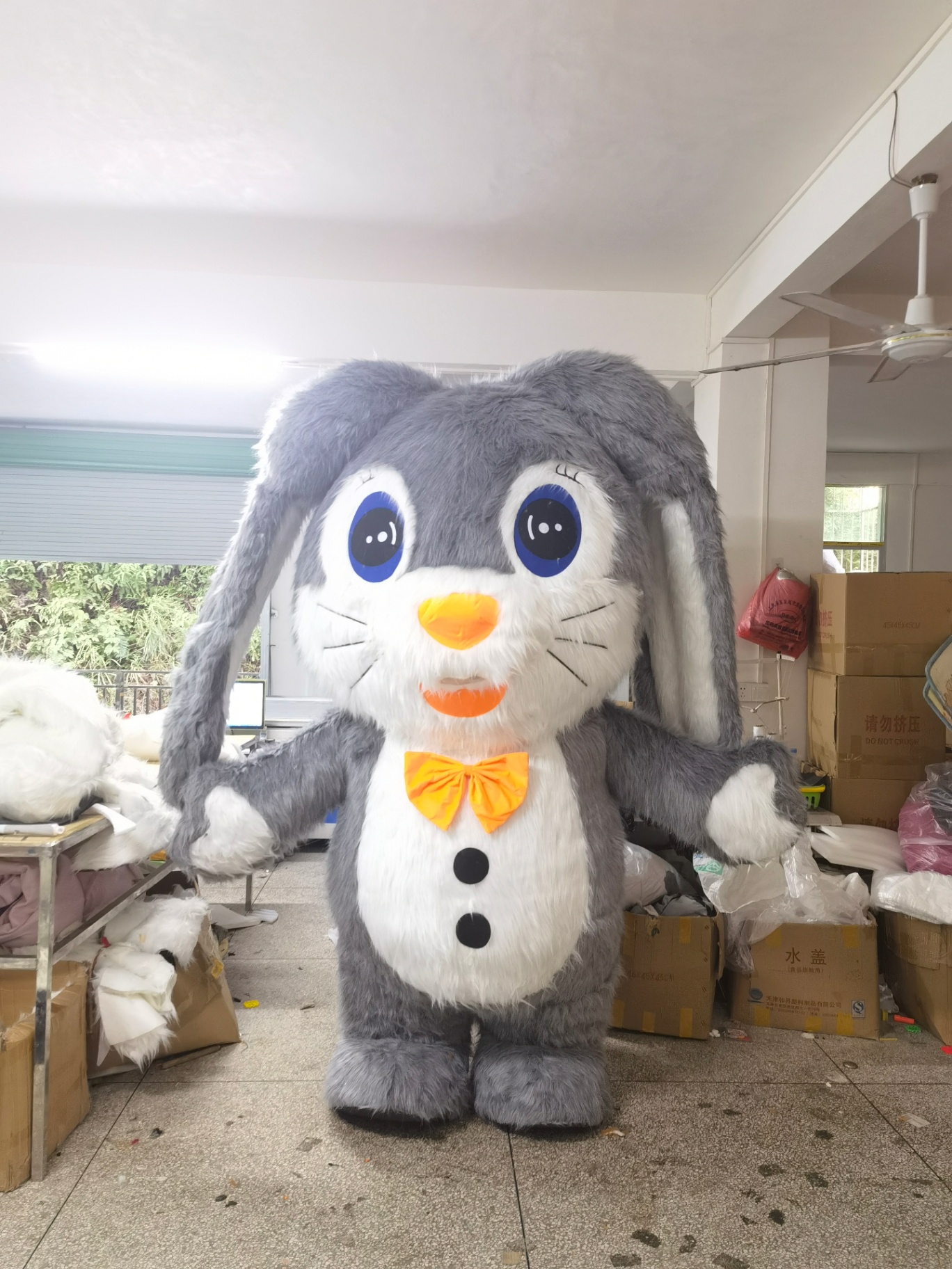 Grey Lop Bunny