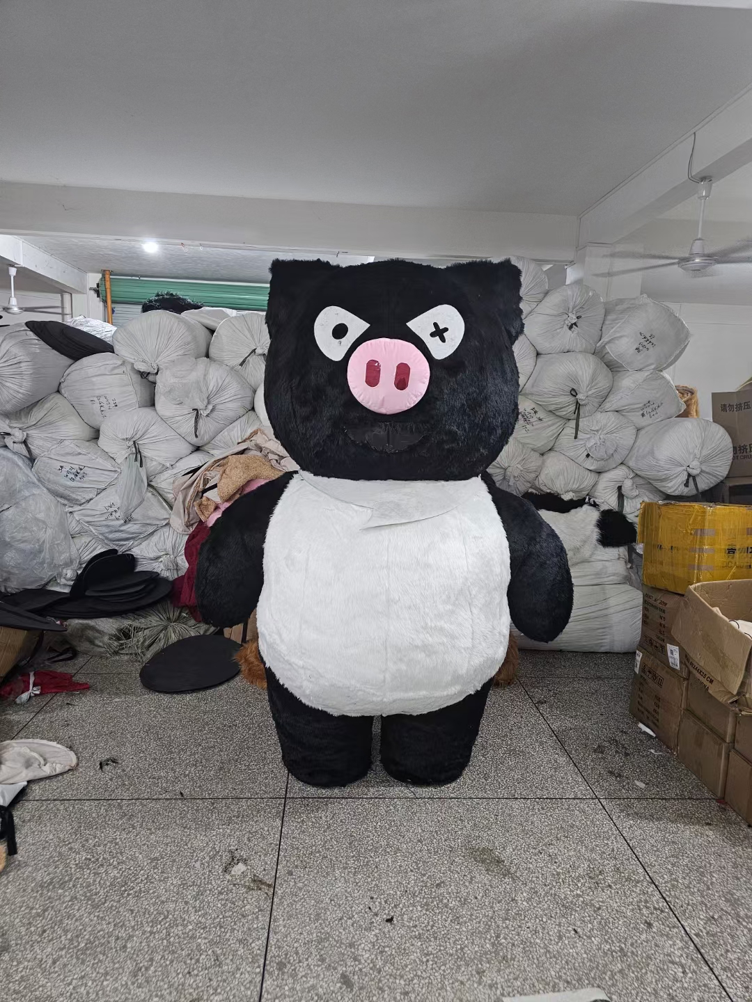 Black Pig