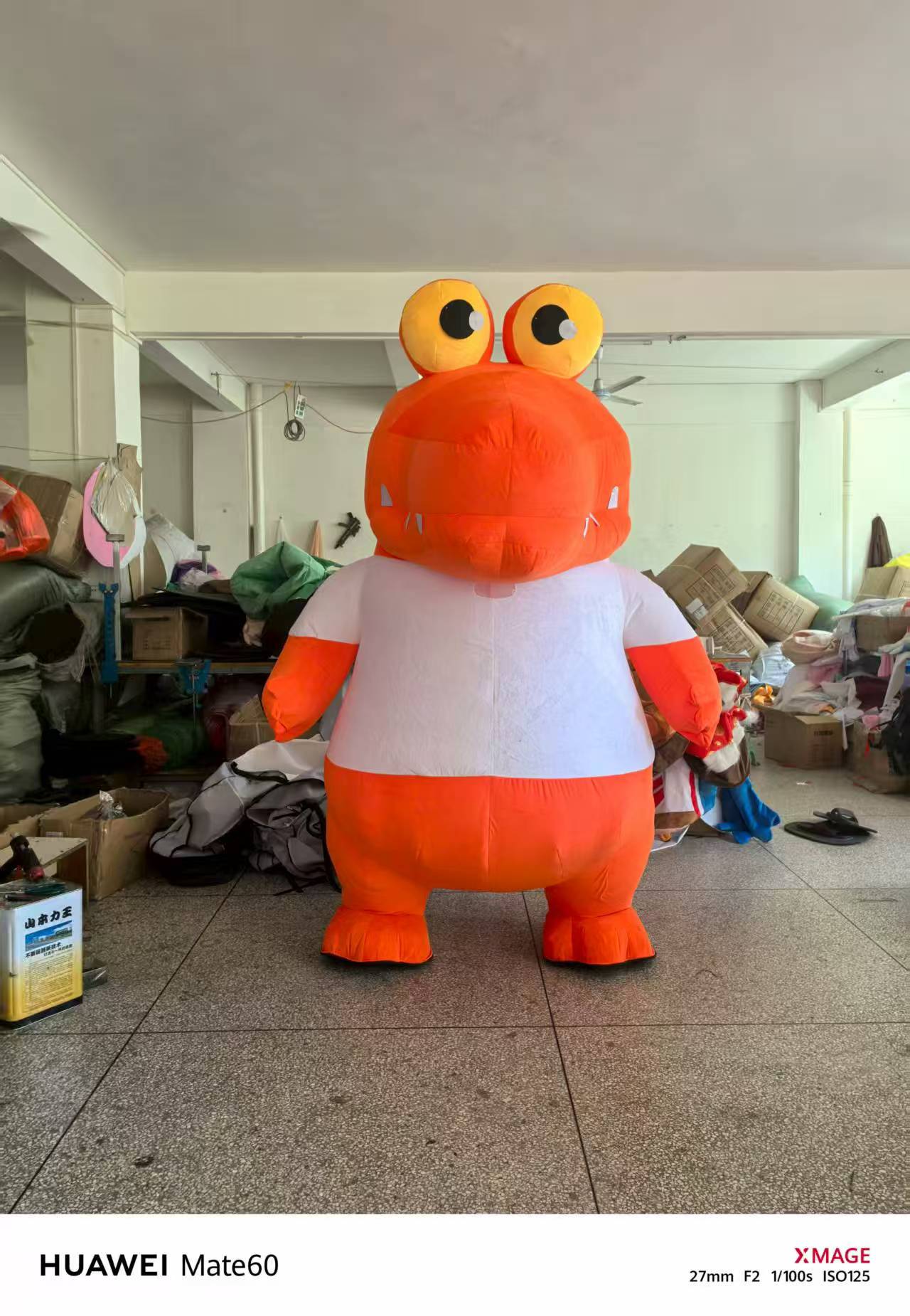Orange Frog