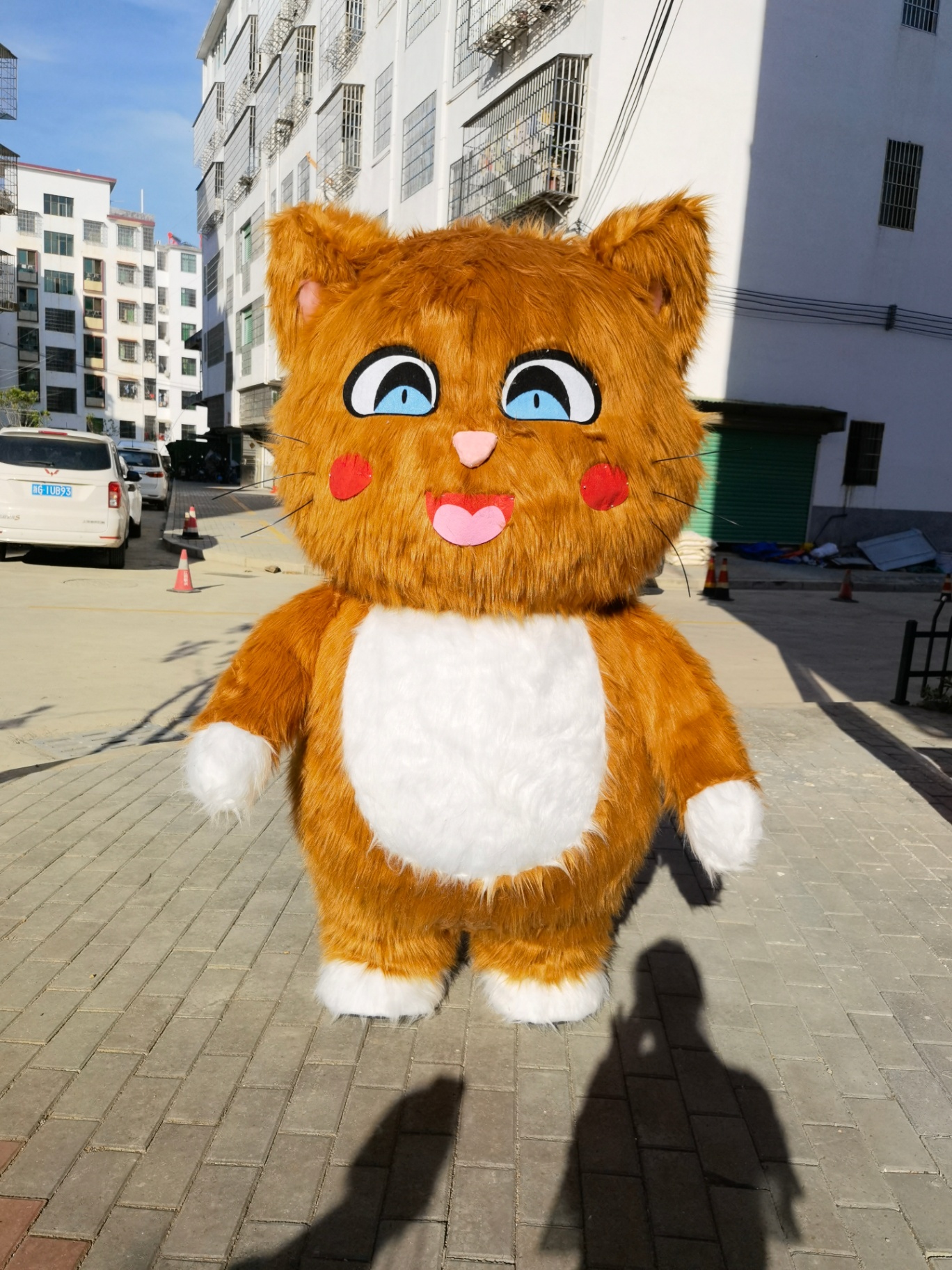 Ginger Cat